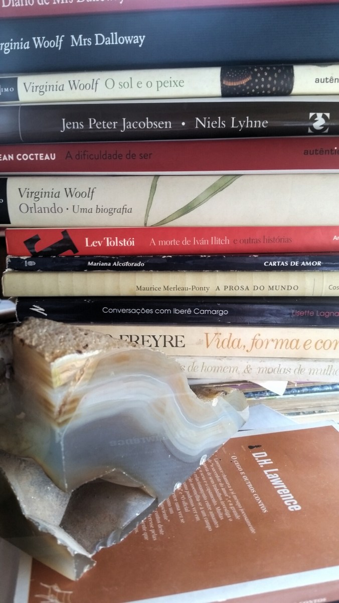 LIVROS e livros Virgínia Woolff