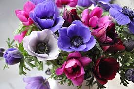 Para o Dia das Mães!