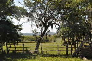 CAVALGADA ANA 068