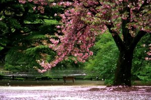 foto-ampliada-842-dp