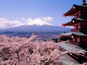 kyoto_sakura