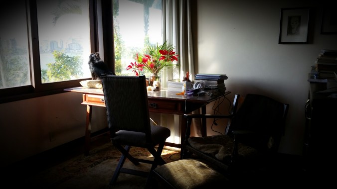 2014-07-12 15.09.21.jpg