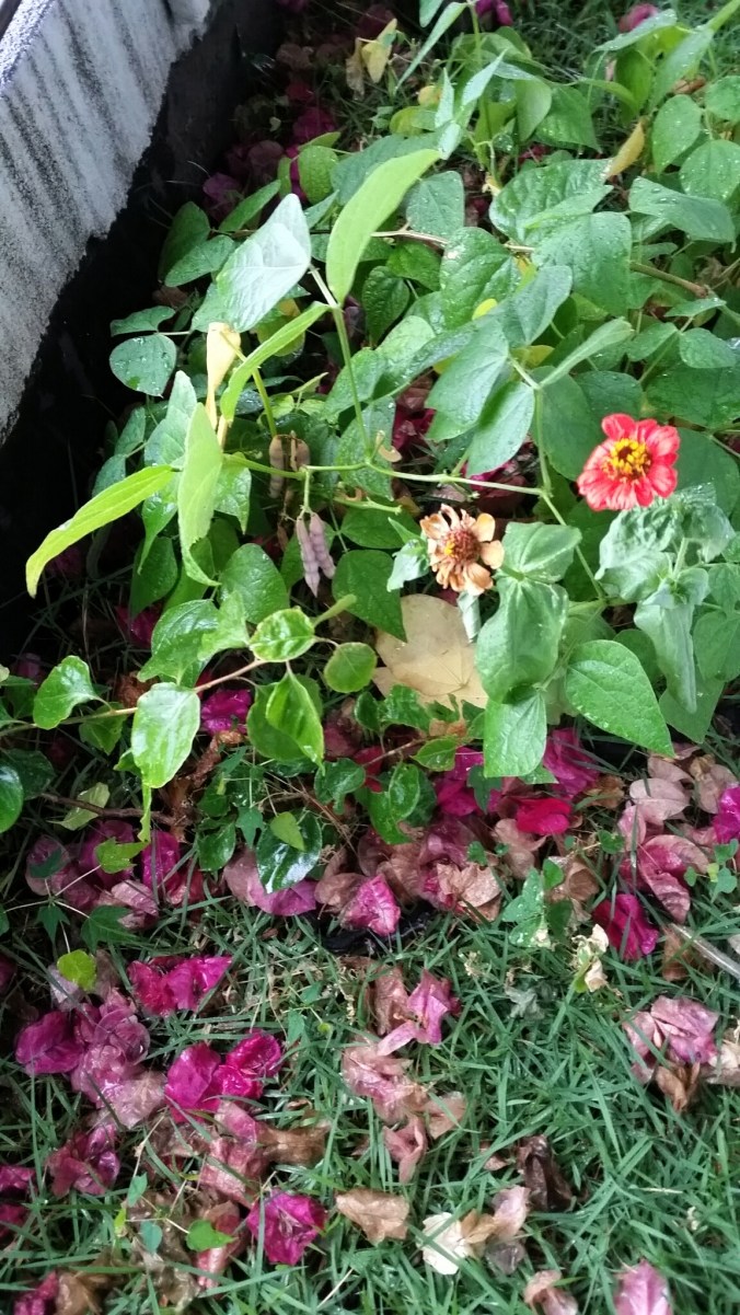 2014-11-02 15.35.18.jpg