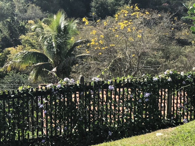 CERCAAAAAAAAAAAAAAAAAAAAA