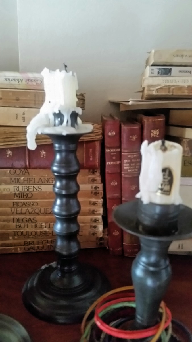 LIVROS e ESTANHOS LINDA FOTO