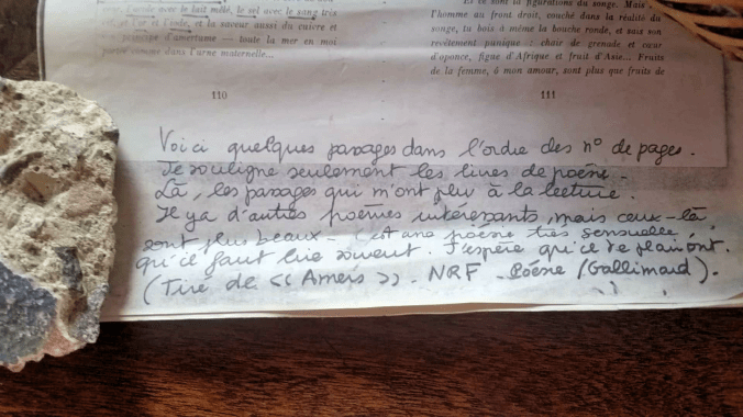 pedra e poema sentido certo