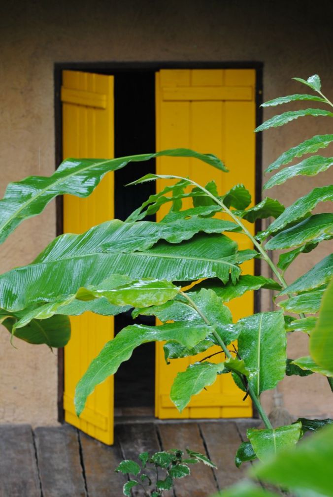 PORTA AMARELA com folhas