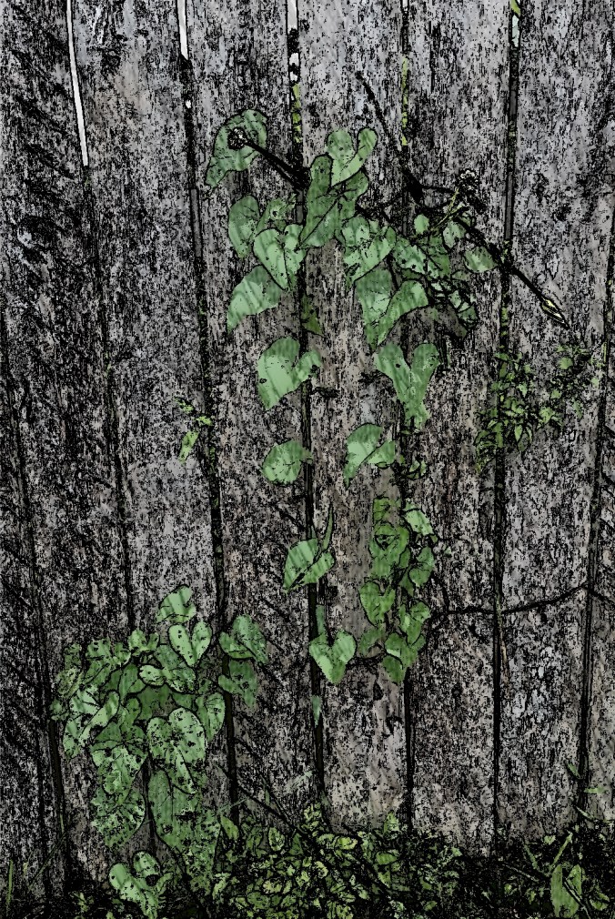 muro desenho com folhas