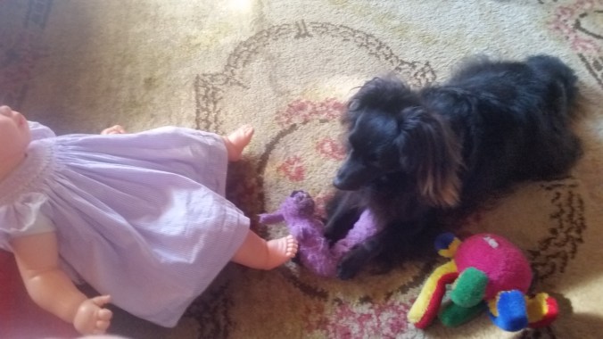 brinquedos e onixxxxxxxxxxxxxx