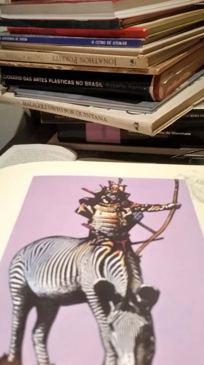 MARAVILHOSA FOTO sabine