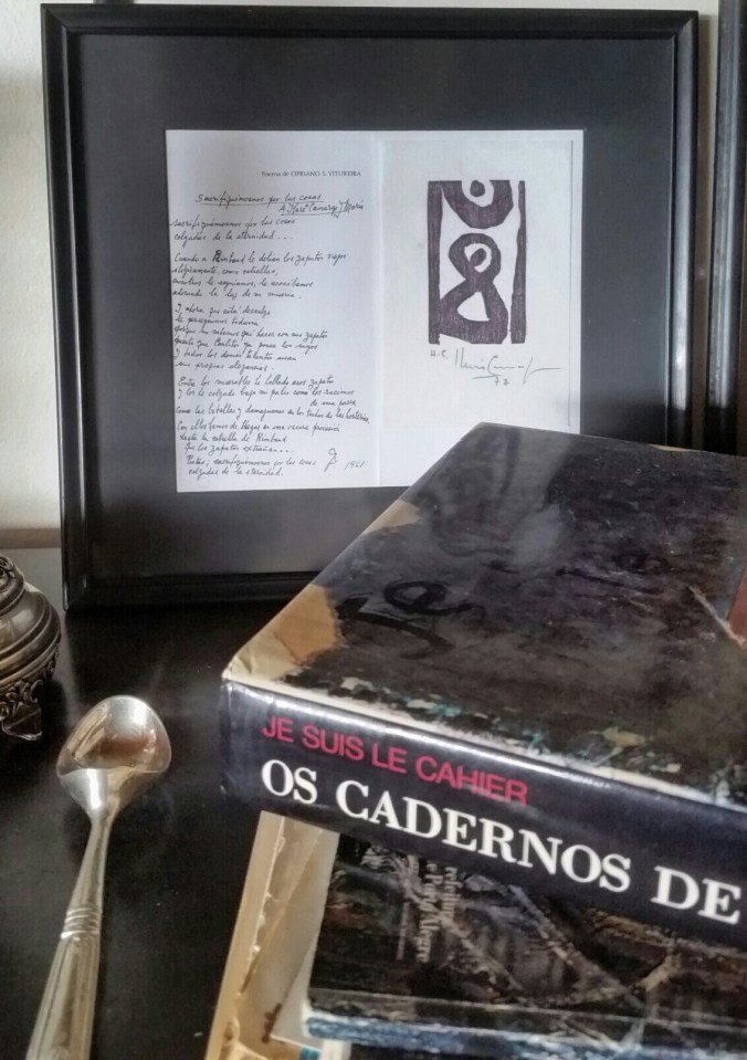 je suis le cahier bonito