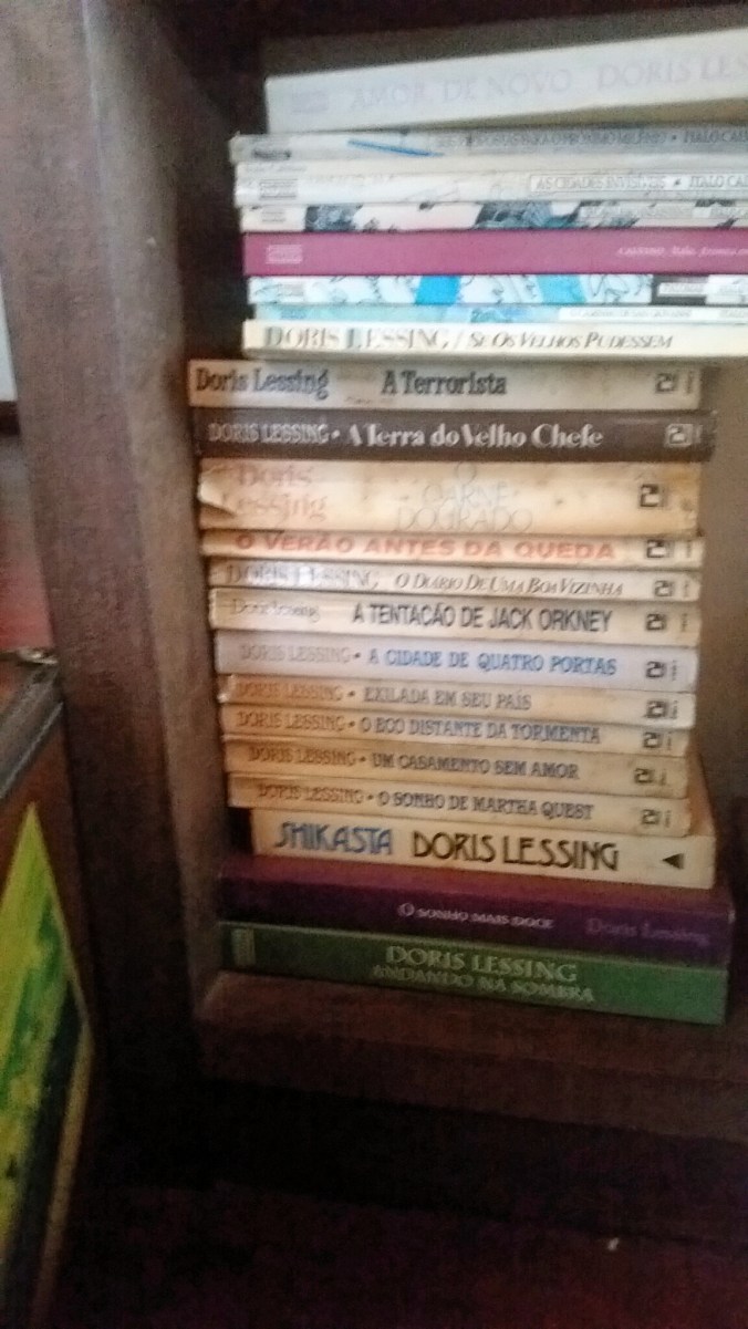 DORIS LESSING LIVROSSSSSSS