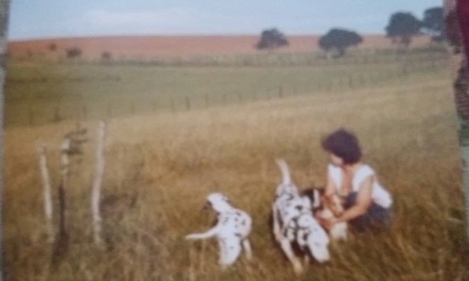 na fazenda com os cães