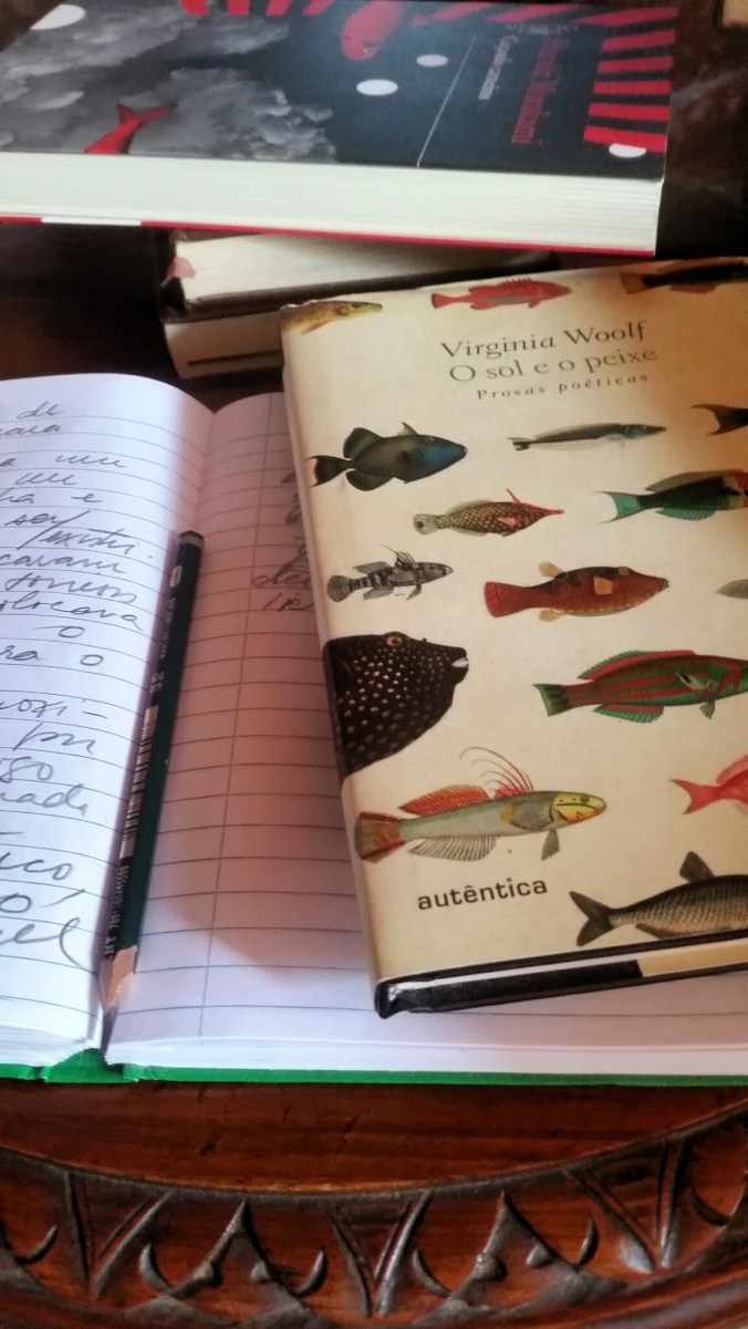 a melhor foto dos peixesssssssssssssssss.jpg