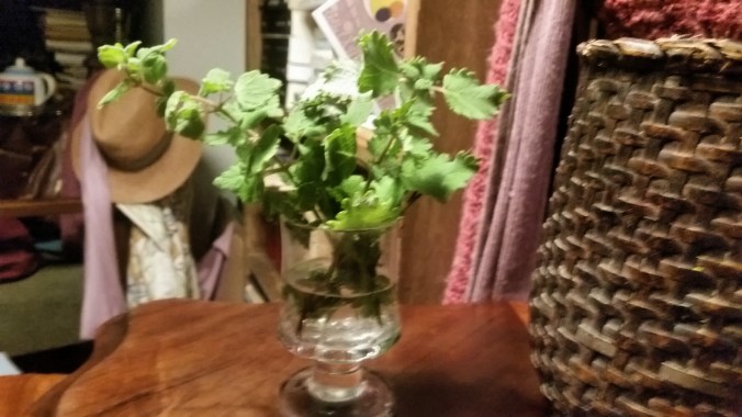 perfumadas 2perfumadas