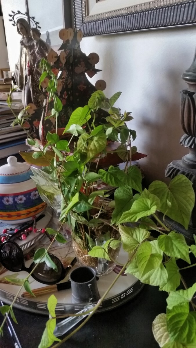 outra foto linda da mesa com ver da batata doce