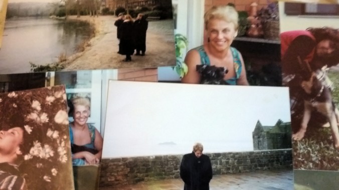 várias boas numa só