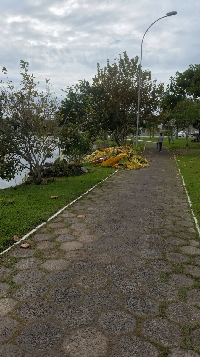 2019-05-23 10.41.14.jpno fundo da rua o amarelo