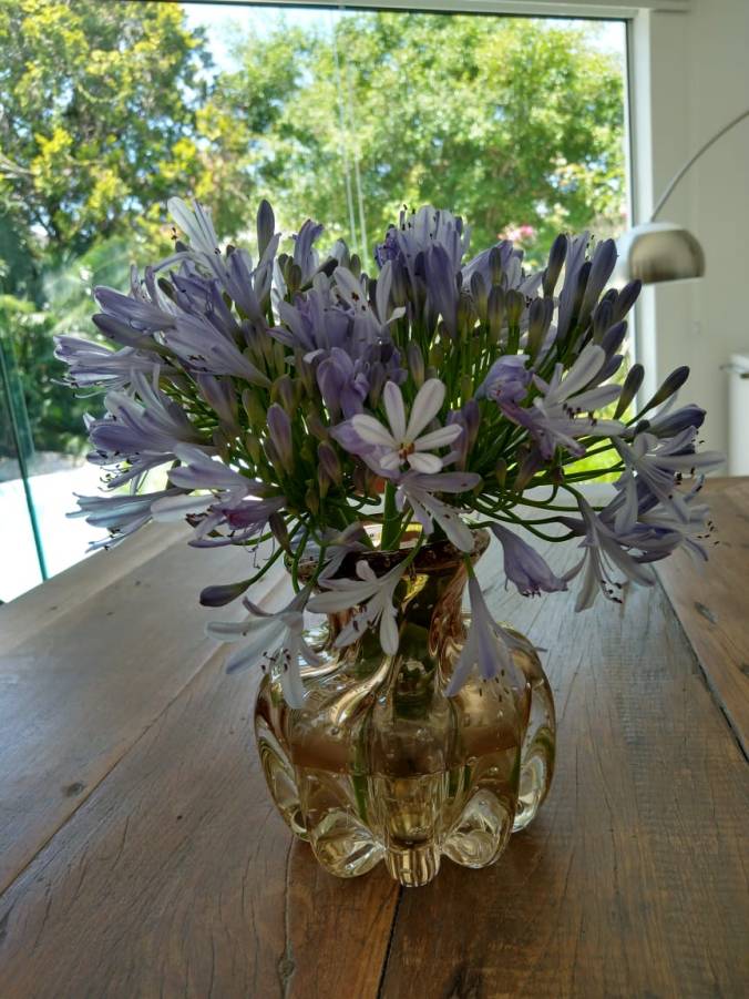 IMG-20191121-WA0001 (2)