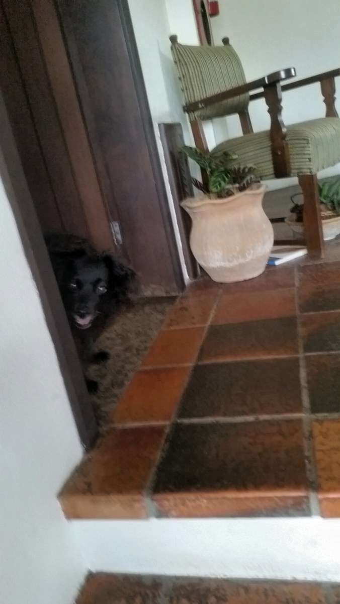 2020-01-06 06.19.54.jpg