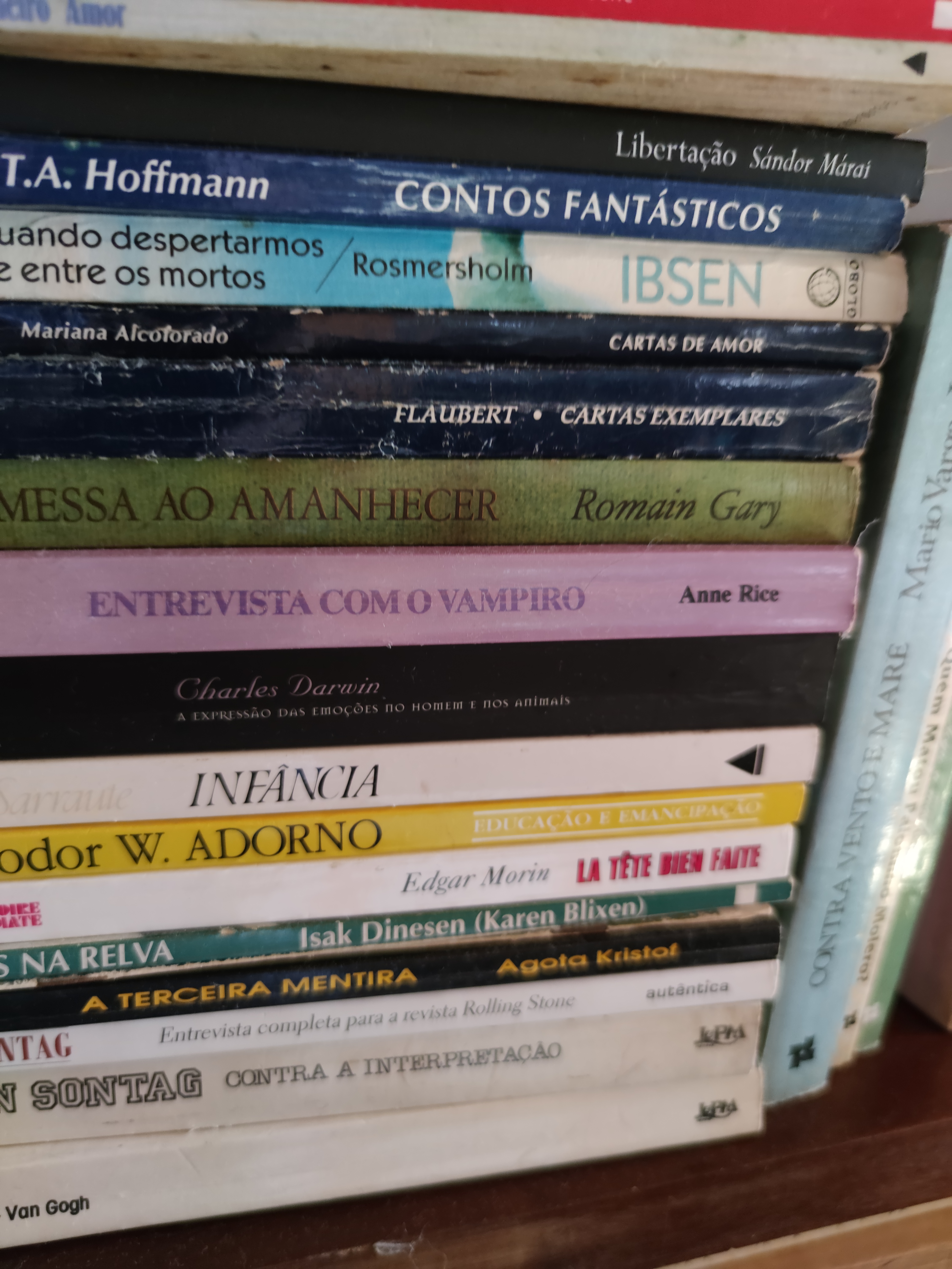 livros 2 ótima.jpg