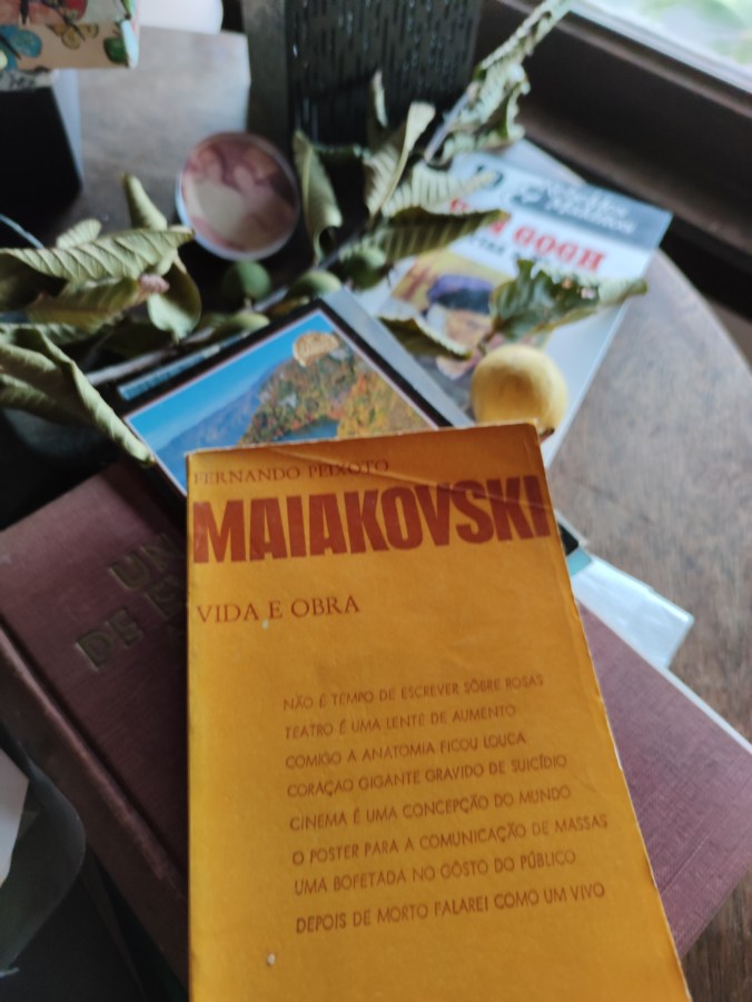 IMG_20200404_175332 maiakovski