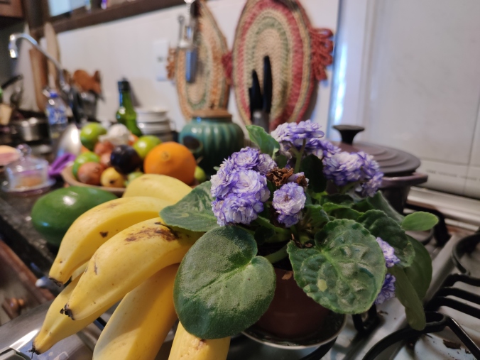 cozinha e flor e bananas