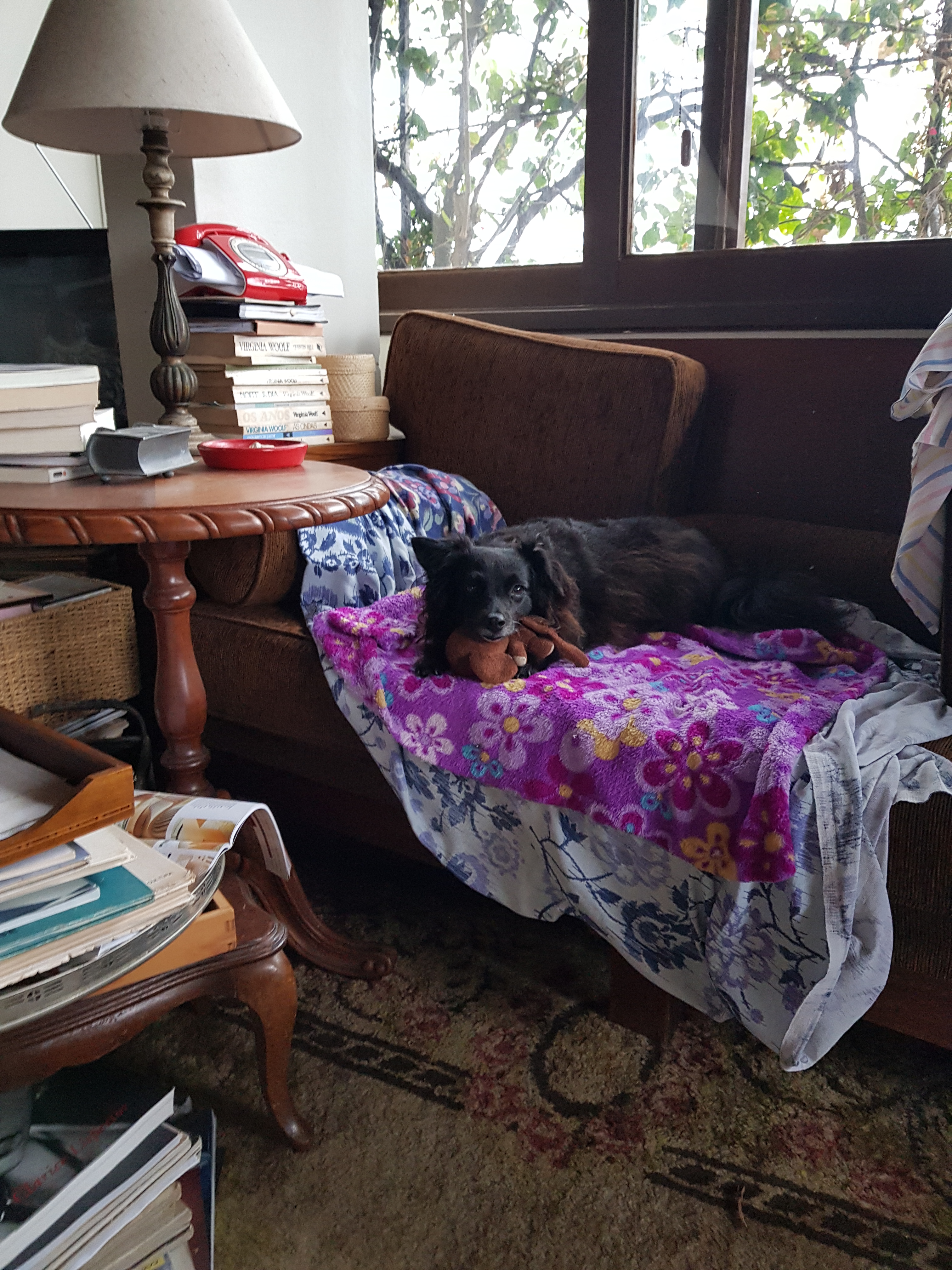 distraida no sofá Ônix