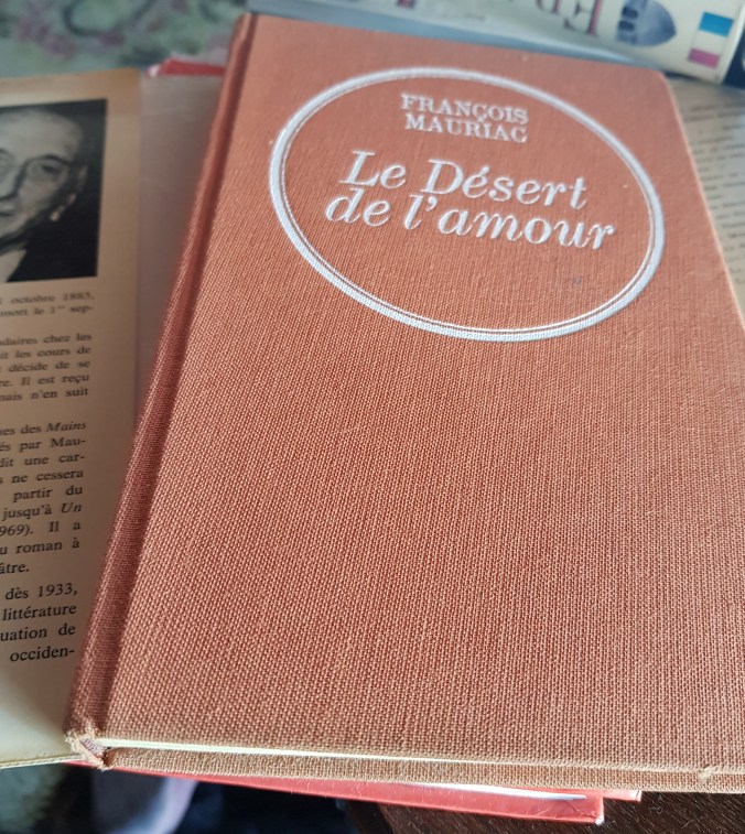 Le DÉSERT DE L'AMOUR capa laranja