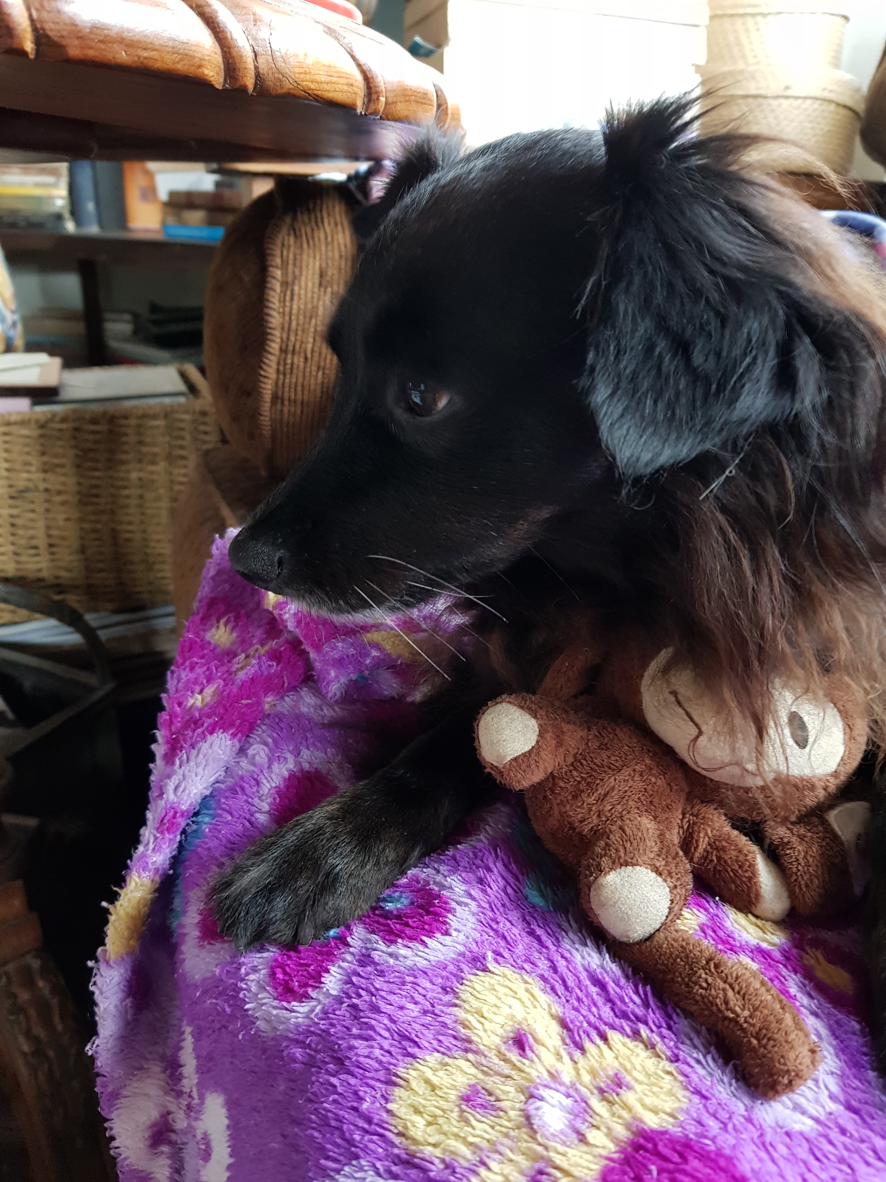 não quero ser fotografada